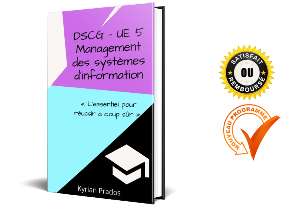 Fiches DSCG UE 5 – Management des systèmes d’information