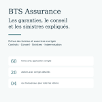Couverture du pack BTS Assurance : 120 pages de fiches et corrigés